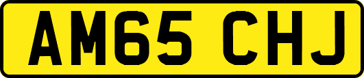 AM65CHJ
