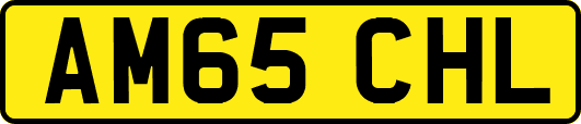 AM65CHL