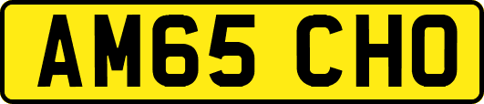 AM65CHO