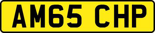 AM65CHP