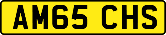 AM65CHS