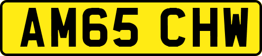 AM65CHW