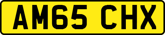 AM65CHX