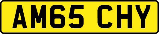 AM65CHY