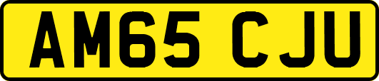 AM65CJU