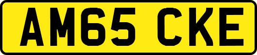 AM65CKE