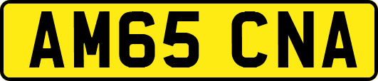 AM65CNA