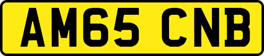 AM65CNB