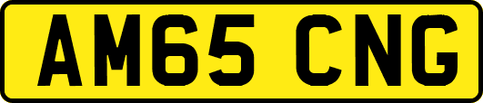 AM65CNG