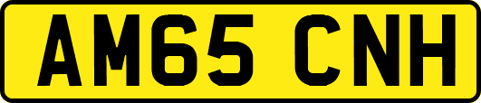 AM65CNH