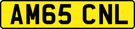 AM65CNL