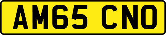 AM65CNO