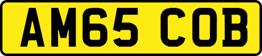 AM65COB