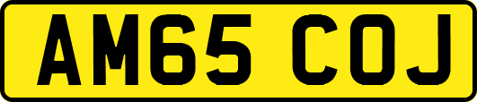 AM65COJ