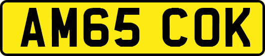 AM65COK