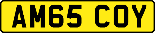 AM65COY