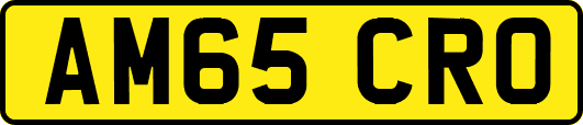 AM65CRO