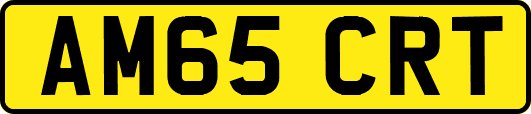 AM65CRT