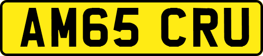 AM65CRU