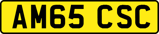 AM65CSC