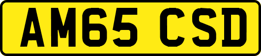 AM65CSD