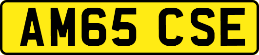 AM65CSE
