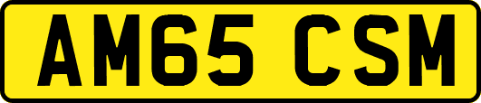 AM65CSM