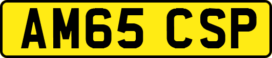 AM65CSP