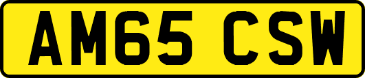 AM65CSW