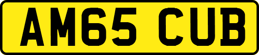 AM65CUB