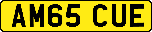 AM65CUE