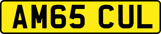 AM65CUL
