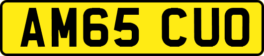 AM65CUO