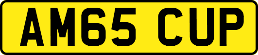 AM65CUP