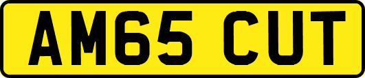 AM65CUT