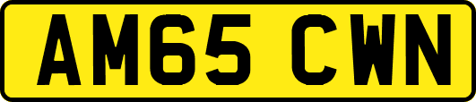 AM65CWN