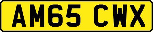 AM65CWX