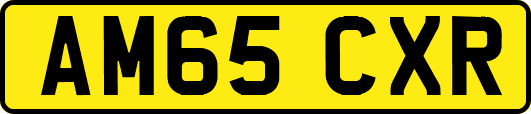 AM65CXR