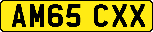 AM65CXX