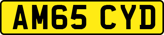 AM65CYD