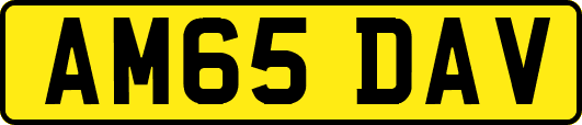 AM65DAV