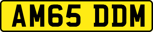 AM65DDM