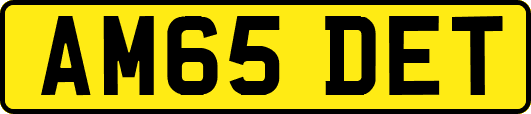 AM65DET