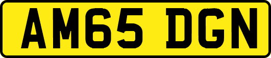 AM65DGN