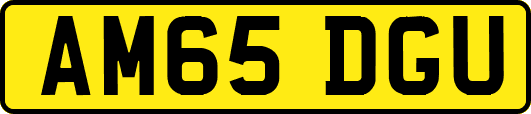 AM65DGU