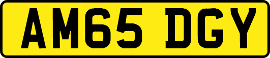 AM65DGY