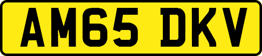 AM65DKV