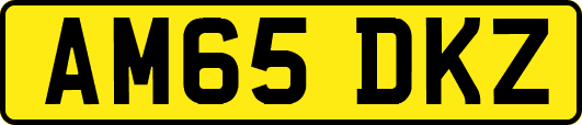 AM65DKZ