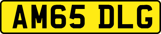 AM65DLG