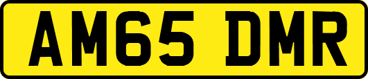 AM65DMR